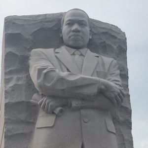 Meet your Posher, Phyllis